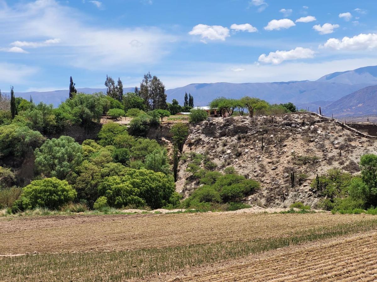 Casa De Campo Huaka Huasy Cachí エクステリア 写真